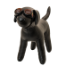 Doggles ILS Sunglasses
