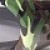 <b>Warning</b>: A non-numeric value encountered in <b>/home1/sg39tgs6/fin.puppypalaceshop.com/public_html/system/library/template/Twig/Environment.php(403) : eval()'d code</b> on line <b>929</b><b>Warning</b>: A non-numeric value encountered in <b>/home1/sg39tgs6/fin.puppypalaceshop.com/public_html/system/library/template/Twig/Environment.php(403) : eval()'d code</b> on line <b>929</b>0