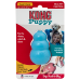 Kong Puppy