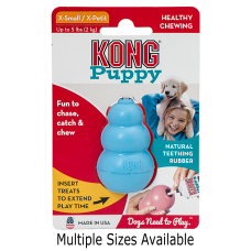Kong Puppy