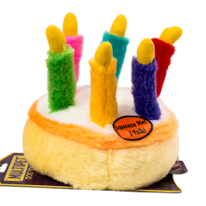 Musical Birthday Cake